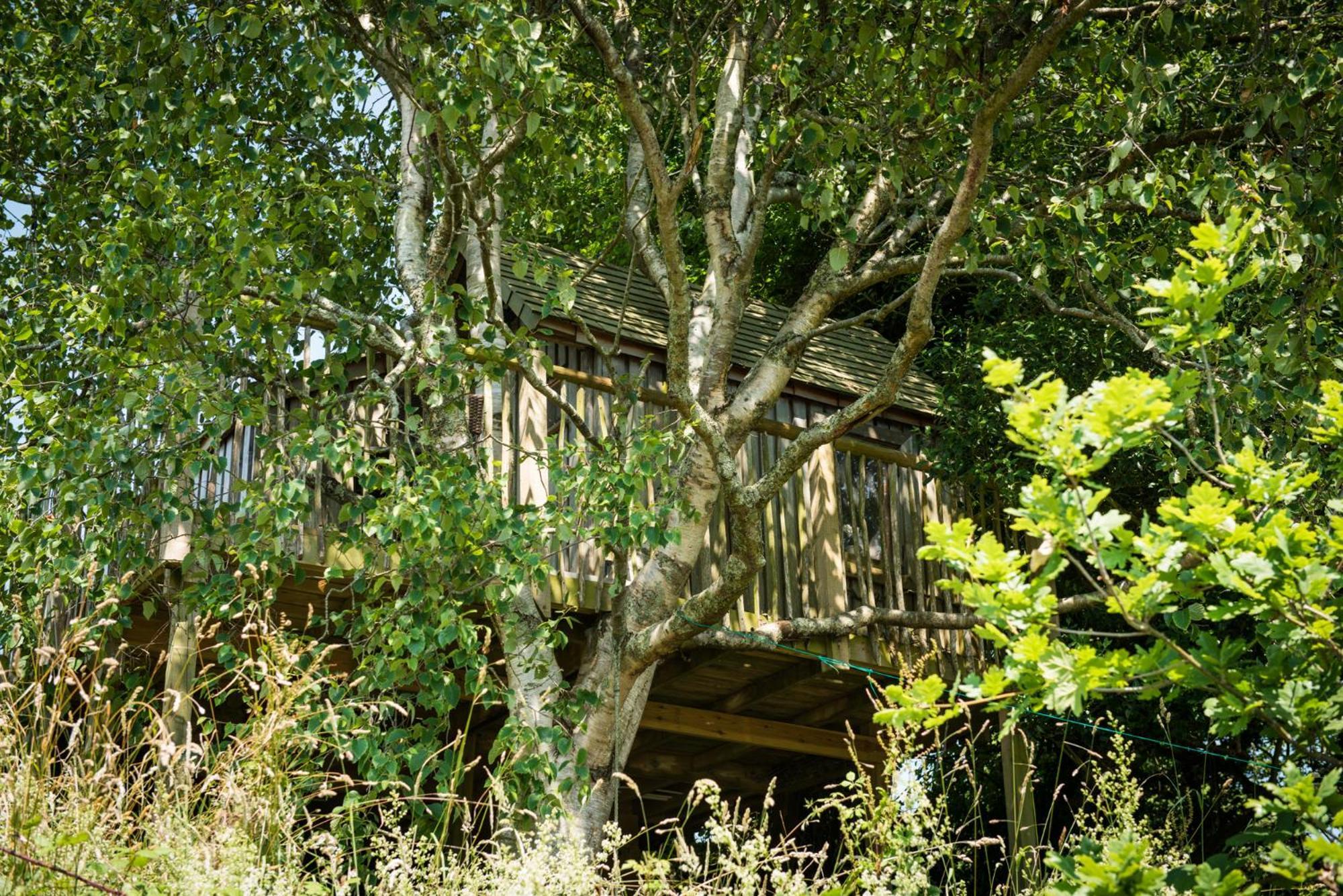 The Treehouse At Salcombe Farm Villa Exterior photo